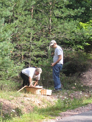 003.jpg - picking mushrooms with