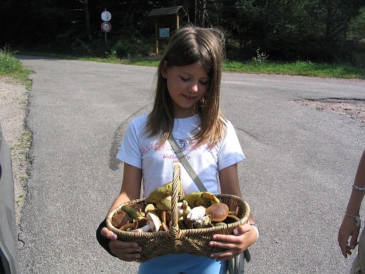 004.jpg - ?? first collection of mushrooms