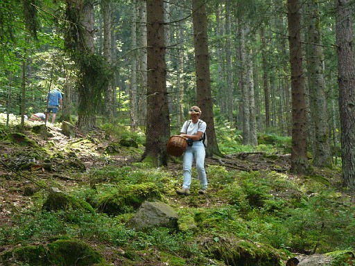 073.jpg - laure collecting mushrooms